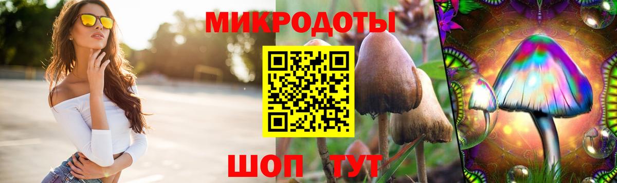 Псилоцибиновые грибы MAGIC MUSHROOMS Нягань